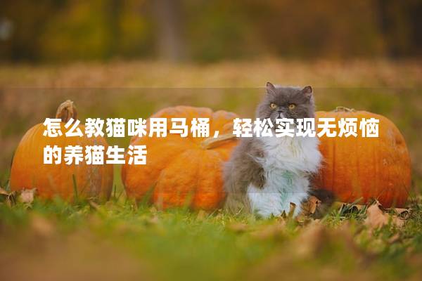 怎么教猫咪用马桶，轻松实现无烦恼的养猫生活