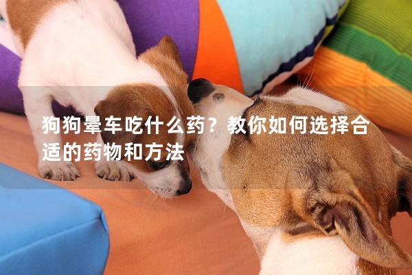 狗狗晕车吃什么药？教你如何选择合适的药物和方法