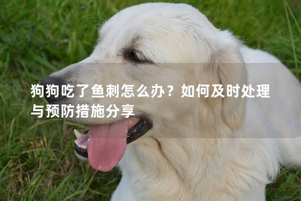 狗狗吃了鱼刺怎么办？如何及时处理与预防措施分享