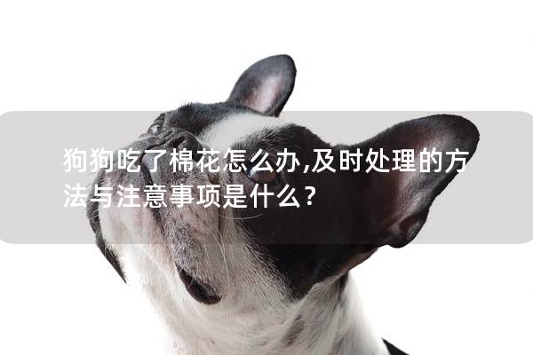 狗狗吃了棉花怎么办,及时处理的方法与注意事项是什么？