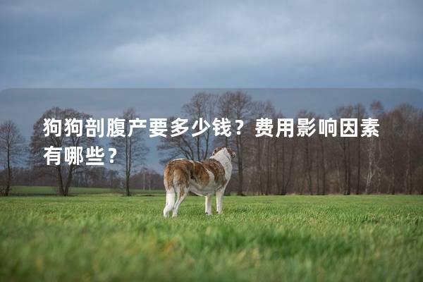 狗狗剖腹产要多少钱？费用影响因素有哪些？