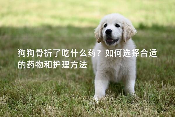 狗狗骨折了吃什么药？如何选择合适的药物和护理方法