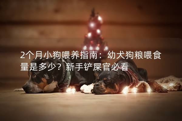 2个月小狗喂养指南：幼犬狗粮喂食量是多少？新手铲屎官必看