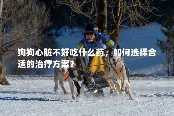 狗狗心脏不好吃什么药，如何选择合适的治疗方案？