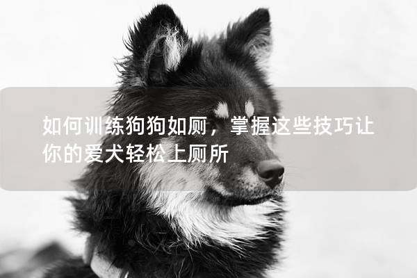 如何训练狗狗如厕，掌握这些技巧让你的爱犬轻松上厕所