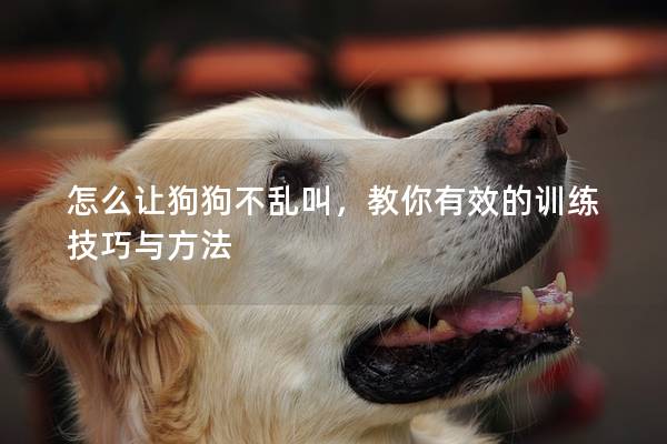 怎么让狗狗不乱叫，教你有效的训练技巧与方法