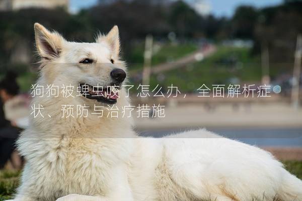 狗狗被蜱虫咬了怎么办，全面解析症状、预防与治疗措施