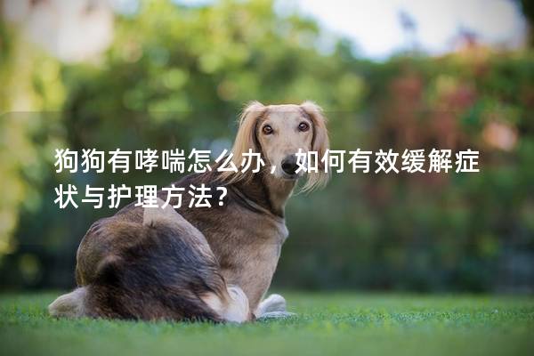狗狗有哮喘怎么办，如何有效缓解症状与护理方法？