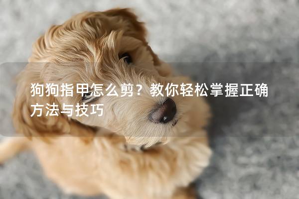 狗狗指甲怎么剪？教你轻松掌握正确方法与技巧
