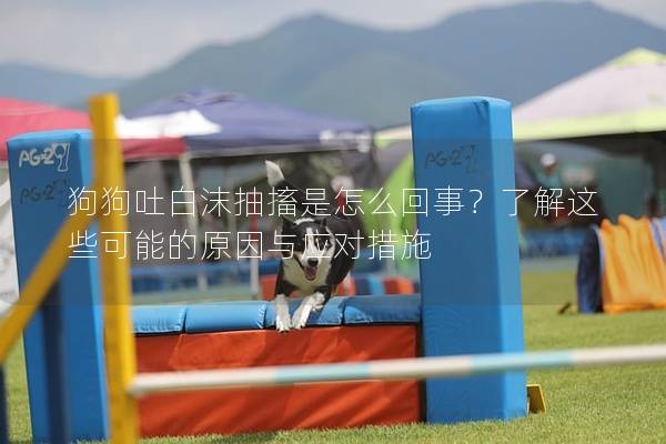狗狗吐白沫抽搐是怎么回事？了解这些可能的原因与应对措施