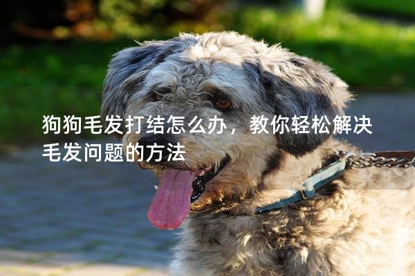 狗狗毛发打结怎么办，教你轻松解决毛发问题的方法