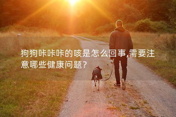 狗狗咔咔咔的咳是怎么回事,需要注意哪些健康问题？
