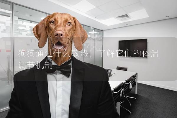 狗狗通过什么散热，了解它们的体温调节机制