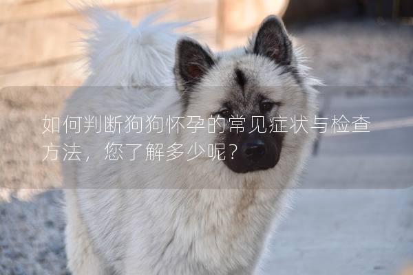 如何判断狗狗怀孕的常见症状与检查方法，您了解多少呢？