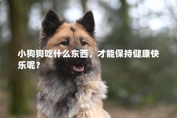 小狗狗吃什么东西，才能保持健康快乐呢？