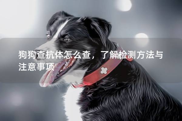 狗狗查抗体怎么查，了解检测方法与注意事项