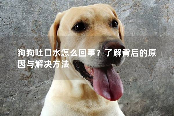 狗狗吐口水怎么回事？了解背后的原因与解决方法
