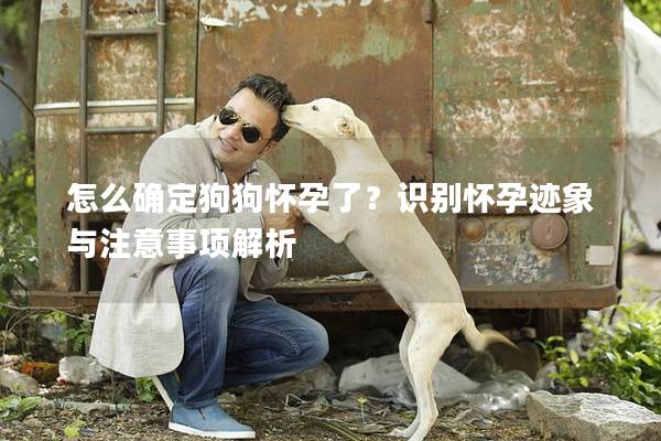 怎么确定狗狗怀孕了？识别怀孕迹象与注意事项解析