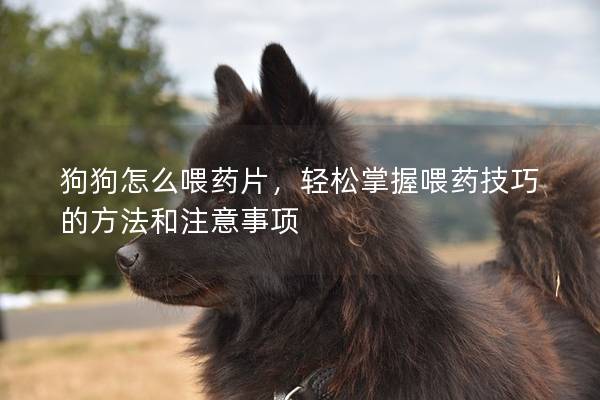 狗狗怎么喂药片，轻松掌握喂药技巧的方法和注意事项