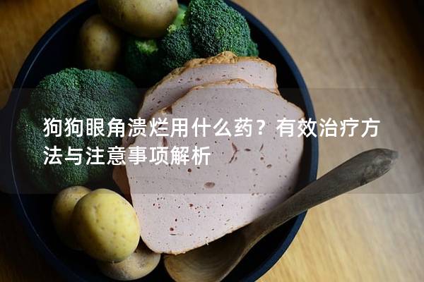 狗狗眼角溃烂用什么药？有效治疗方法与注意事项解析