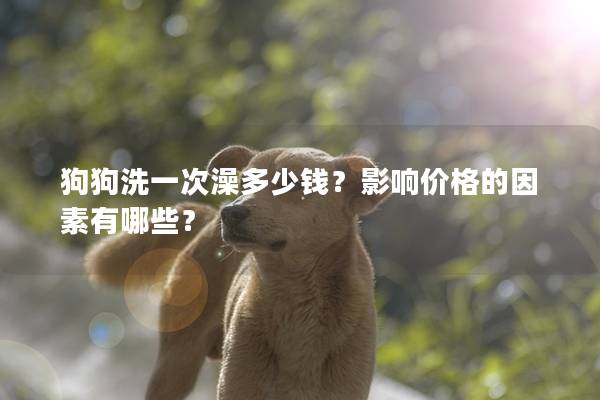 狗狗洗一次澡多少钱？影响价格的因素有哪些？