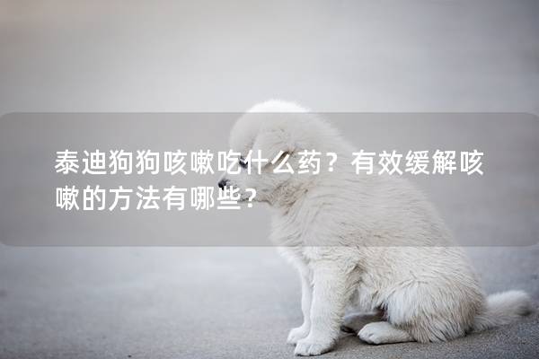 泰迪狗狗咳嗽吃什么药？有效缓解咳嗽的方法有哪些？