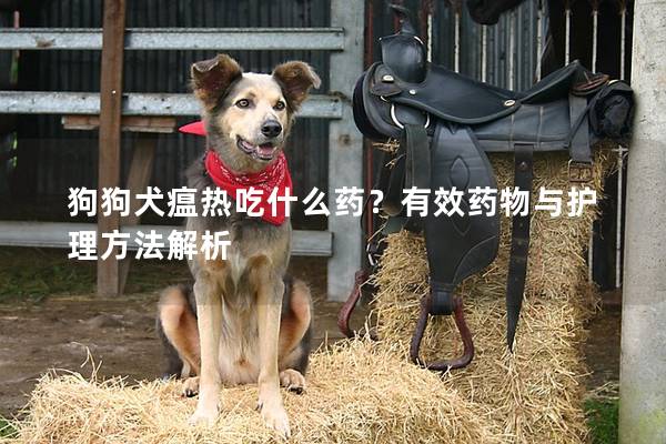 狗狗犬瘟热吃什么药？有效药物与护理方法解析