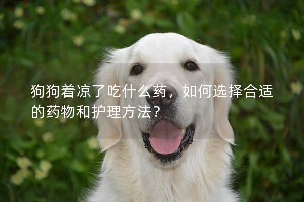 狗狗着凉了吃什么药，如何选择合适的药物和护理方法？