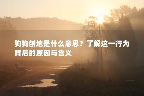 狗狗刨地是什么意思？了解这一行为背后的原因与含义