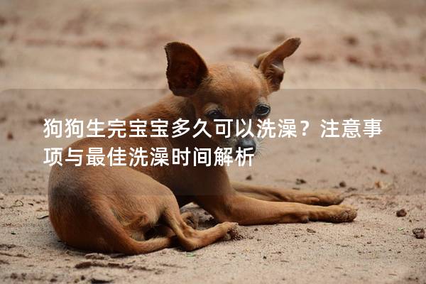 狗狗生完宝宝多久可以洗澡？注意事项与最佳洗澡时间解析
