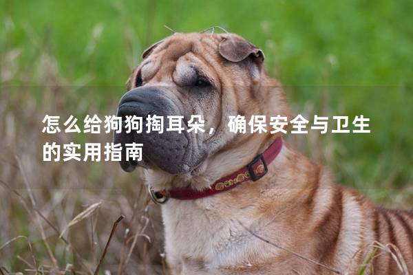 怎么给狗狗掏耳朵，确保安全与卫生的实用指南