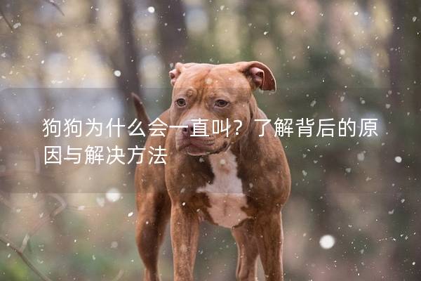 狗狗为什么会一直叫？了解背后的原因与解决方法