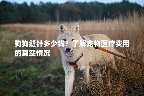 狗狗缝针多少钱？了解宠物医疗费用的真实情况