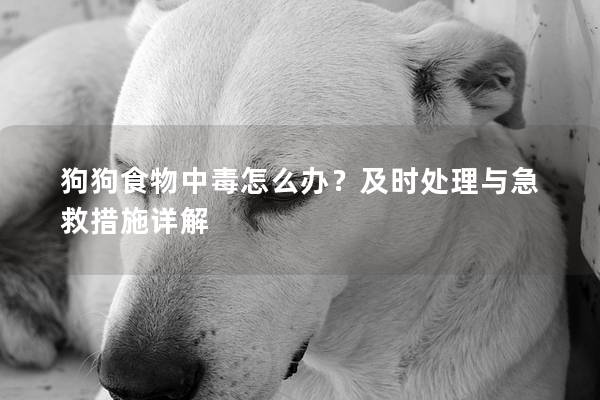 狗狗食物中毒怎么办？及时处理与急救措施详解