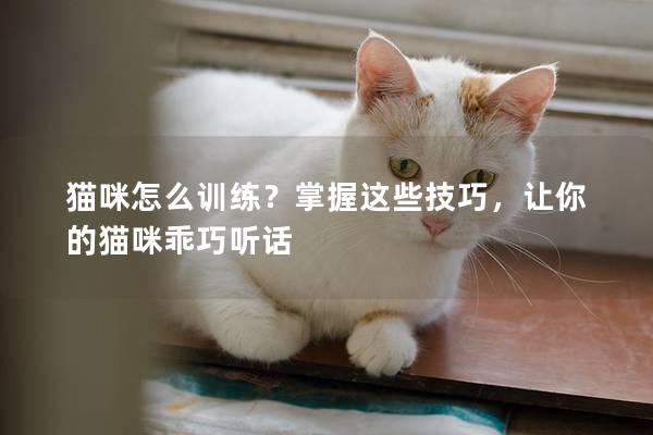 猫咪怎么训练？掌握这些技巧，让你的猫咪乖巧听话