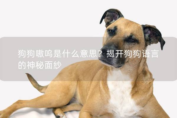 狗狗嗷呜是什么意思？揭开狗狗语言的神秘面纱