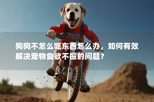 狗狗不怎么吃东西怎么办，如何有效解决宠物食欲不振的问题？