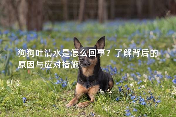 狗狗吐清水是怎么回事？了解背后的原因与应对措施