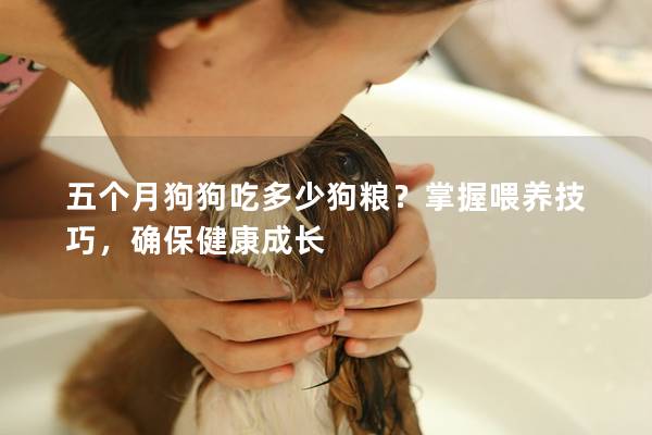 五个月狗狗吃多少狗粮？掌握喂养技巧，确保健康成长