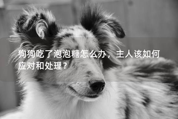 狗狗吃了泡泡糖怎么办，主人该如何应对和处理？