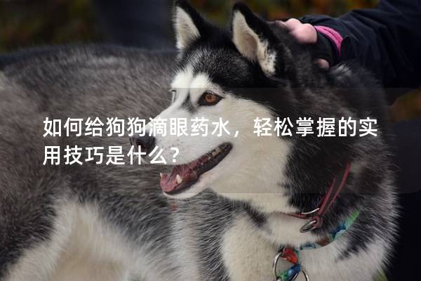 如何给狗狗滴眼药水，轻松掌握的实用技巧是什么？