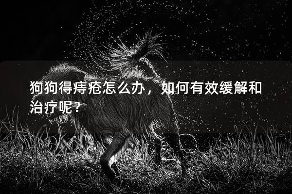 狗狗得痔疮怎么办，如何有效缓解和治疗呢？