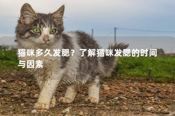 猫咪多久发腮？了解猫咪发腮的时间与因素