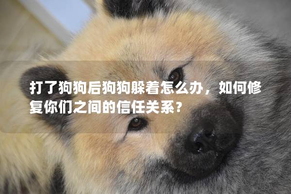 打了狗狗后狗狗躲着怎么办，如何修复你们之间的信任关系？