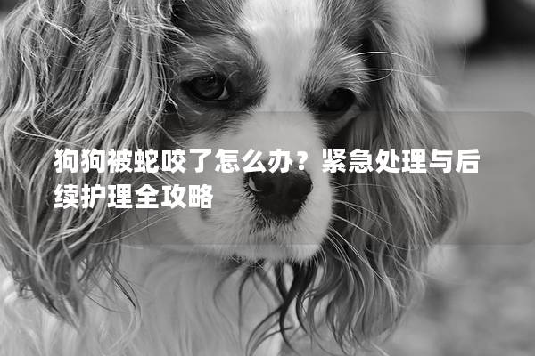 狗狗被蛇咬了怎么办？紧急处理与后续护理全攻略
