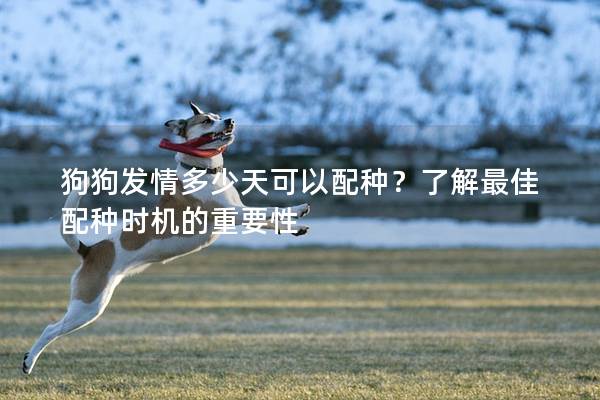狗狗发情多少天可以配种？了解最佳配种时机的重要性