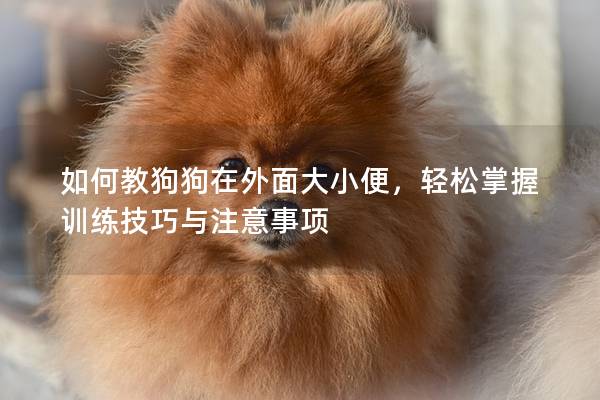 如何教狗狗在外面大小便，轻松掌握训练技巧与注意事项