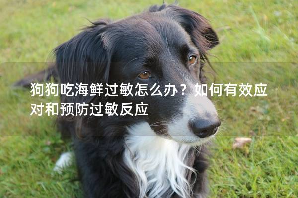狗狗吃海鲜过敏怎么办？如何有效应对和预防过敏反应