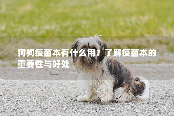 狗狗疫苗本有什么用？了解疫苗本的重要性与好处