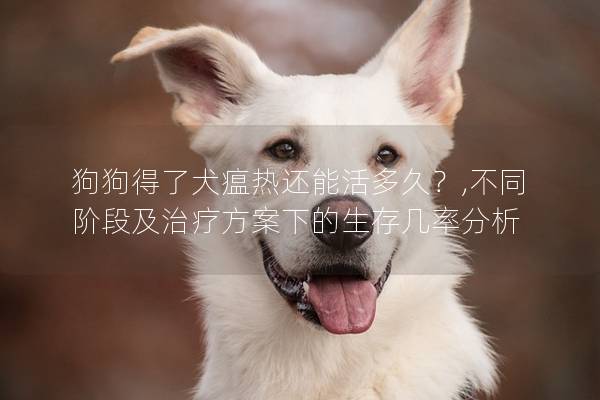 狗狗得了犬瘟热还能活多久？,不同阶段及治疗方案下的生存几率分析